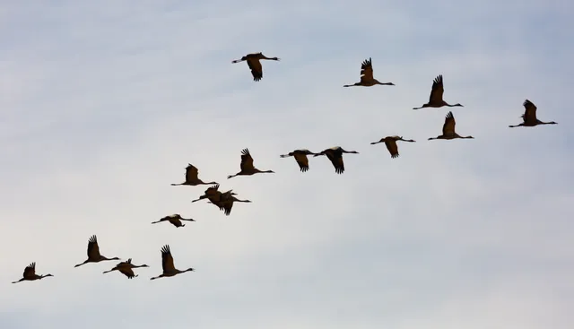 Managing Costs & Maintaining Security Post-Migration